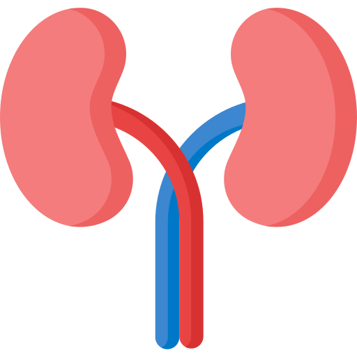 Specializari Transilvania Medical Clinic