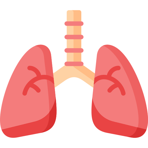 Specializari Transilvania Medical Clinic